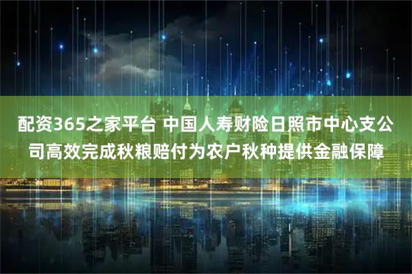 配资365之家平台 中国人寿财险日照市中心支公司高效完成秋粮赔付为农户秋种提供金融保障