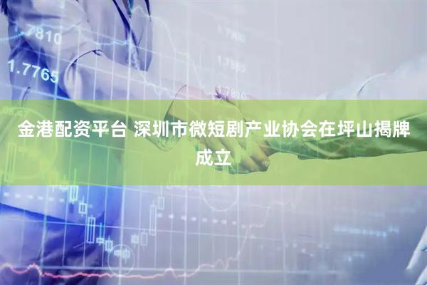 金港配资平台 深圳市微短剧产业协会在坪山揭牌成立