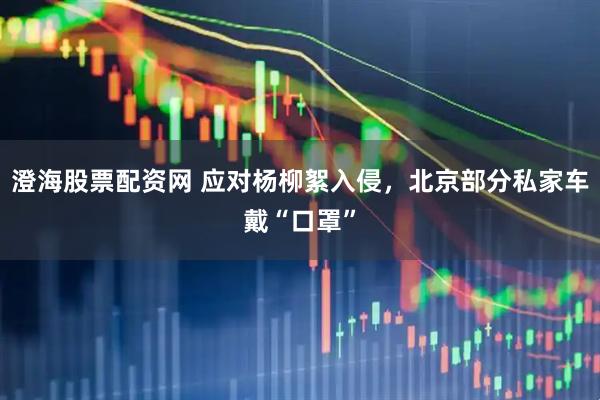 澄海股票配资网 应对杨柳絮入侵，北京部分私家车戴“口罩”